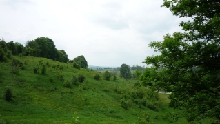 2010_3