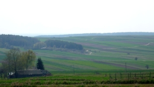 2011_15