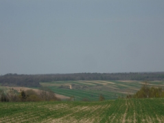 2011_7