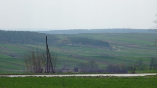2011_8