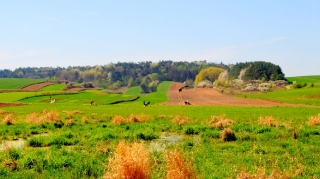 2012_26