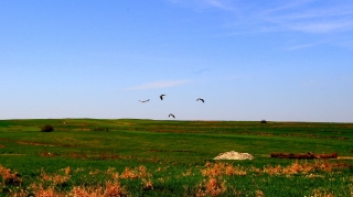 2012_27