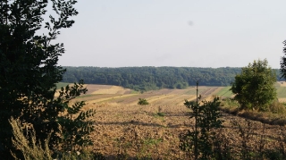 2013_35