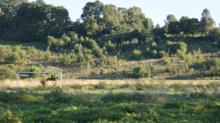 2013_47