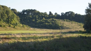 2013_49