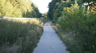 2013_50
