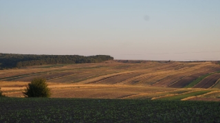 2013_65