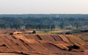 2008_7