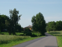 HENRYKÓWKA