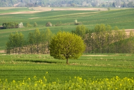 fot. Piotr Szymczyk_10