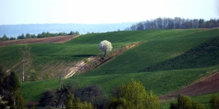 fot. Piotr Szymczyk_12