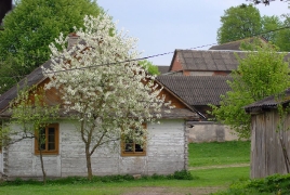 fot. Piotr Szymczyk_14