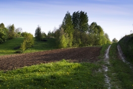fot. Piotr Szymczyk_15