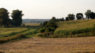 ROGÓW
