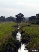 fot. D. Kordyś_2