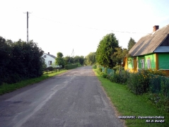 fot. D. Kordyś_5