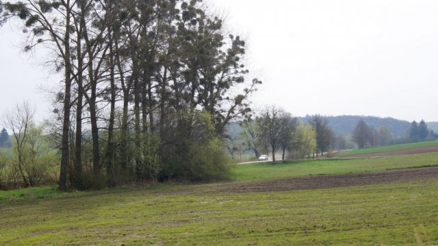 2018.04.16 [fot. DK]_2