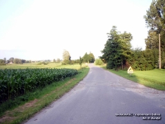 fot. D. Kordyś_4