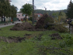 Uroczystość sadzenia Dębów Papieskich.fot.DK_20