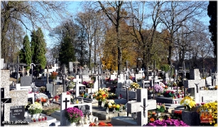 fot. DK_10