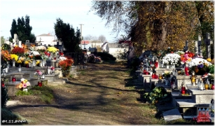 fot. DK_4