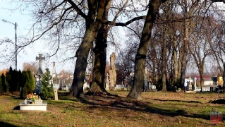 fot. DK_4