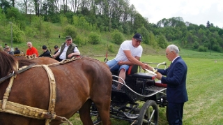 Zawody w powożeniu zaprzęgami_16