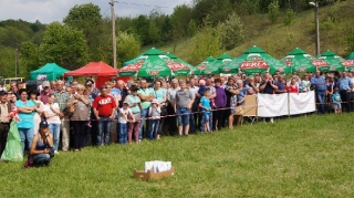 Zawody w powożeniu zaprzęgami_17