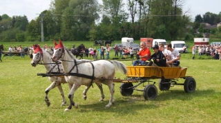 Zawody w powożeniu zaprzęgami_21