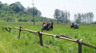 Zawody w powożeniu zaprzęgami_3