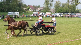 Zawody w powożeniu zaprzęgami_8