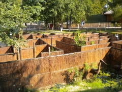 fot. Biblioteka Grabowiec_22