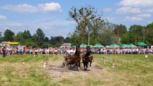 27 maja 2018 r._2