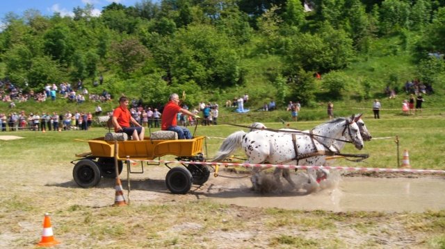 27 maja 2018 r._5