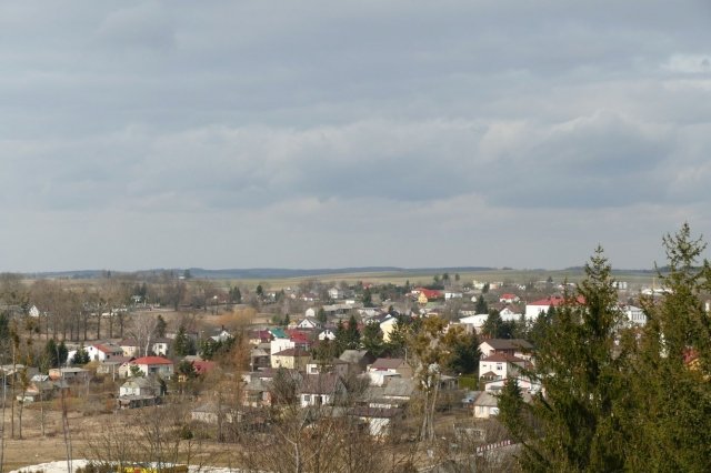 2019.03.09 - OCZYSZCZENIE GÓRY ZAMKOWEJ
