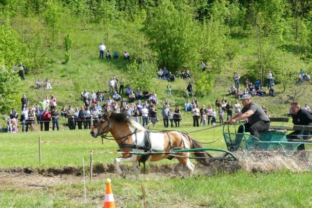 fot. DK_26